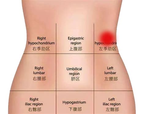 該邊位置|惱人害羞的腹股溝疼痛